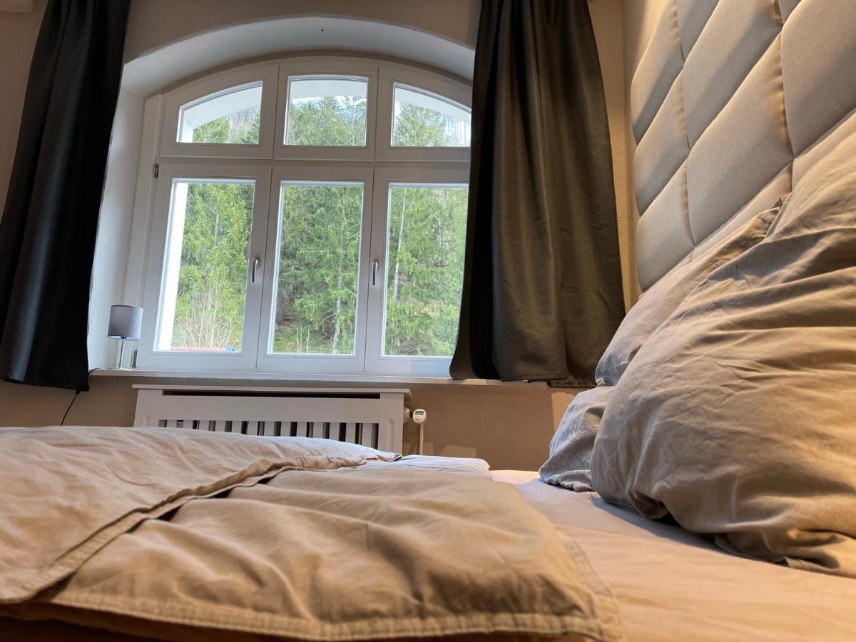 Apartamento Bergrauschen - Waldloft - Preise Inklusive Waesche Goslar Exterior foto