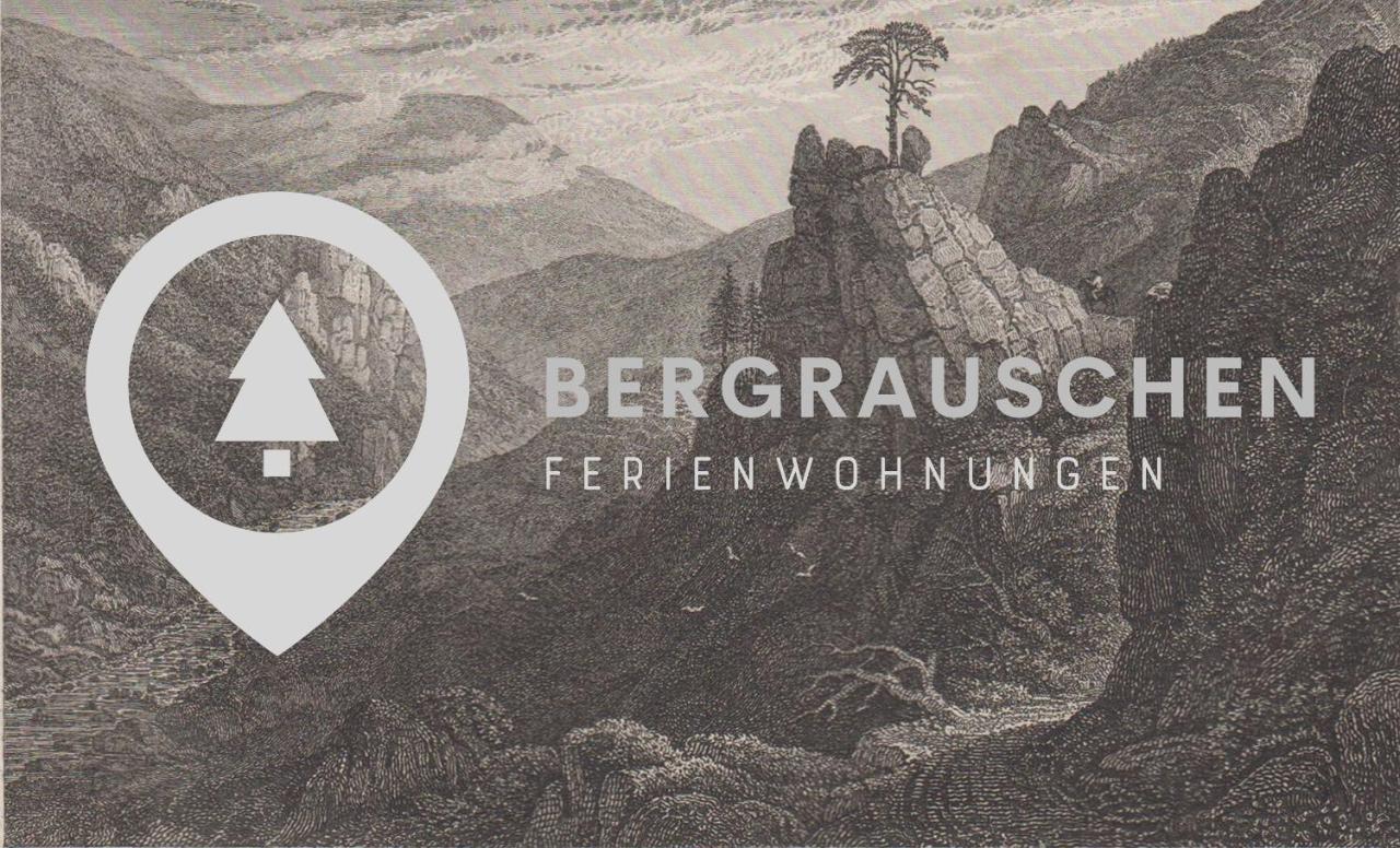 Apartamento Bergrauschen - Waldloft - Preise Inklusive Waesche Goslar Exterior foto